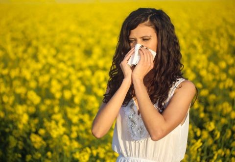 Alergia vs. Resfriado: Claves para Diferenciarlos y Prepararte para la Primavera